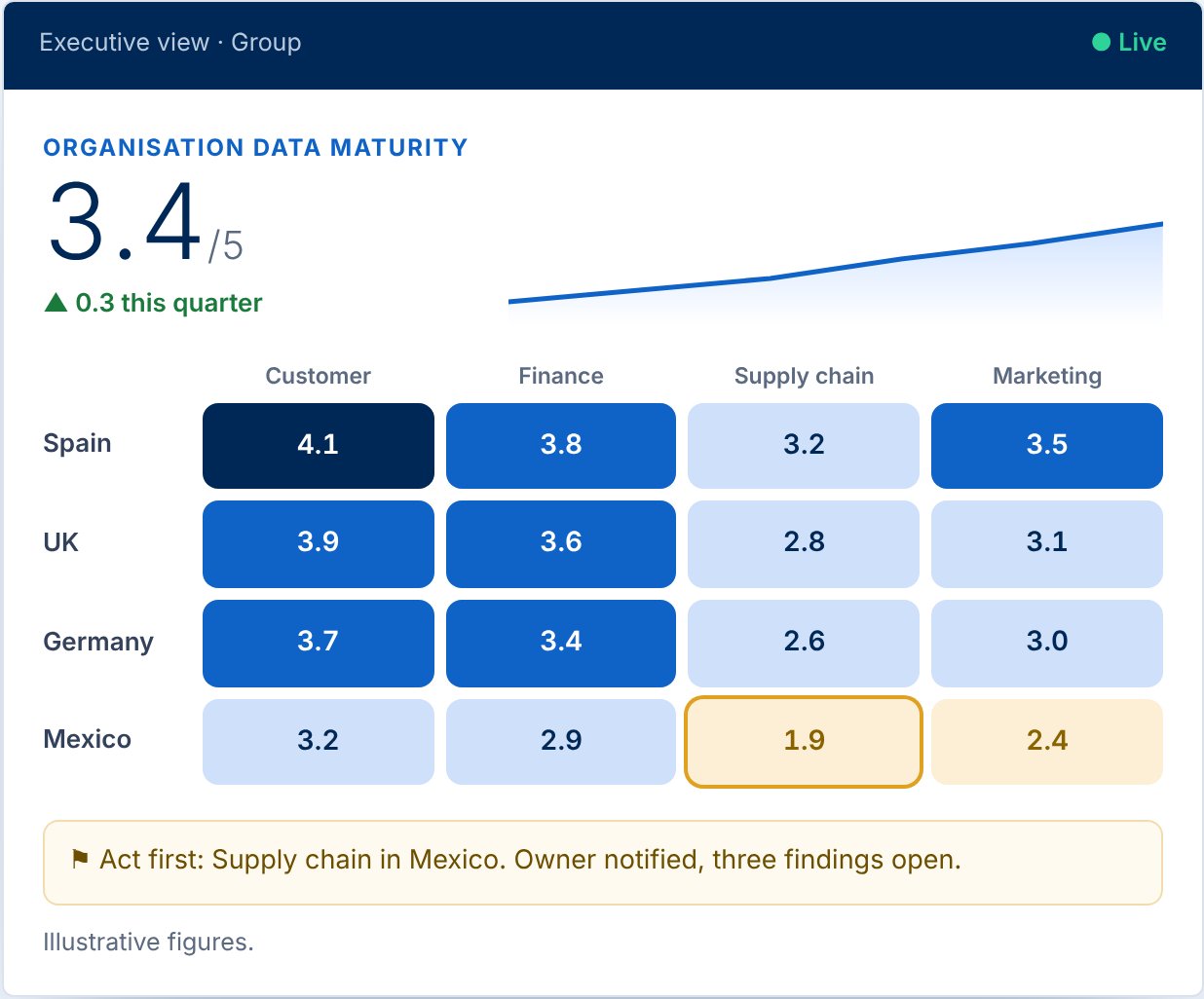 Executive view: organisation data maturity by country and domain.